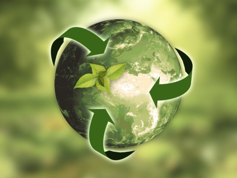 Environmental Sustainability, business, enviromental, sutainability