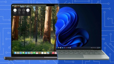 OS, macos, windows, amd, intel