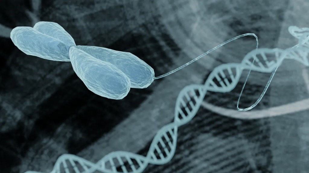Human Genome, diploid, Medical