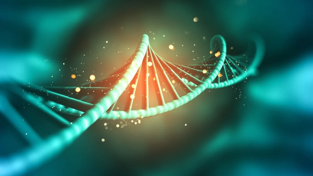 Human Genome, diploid, Medical