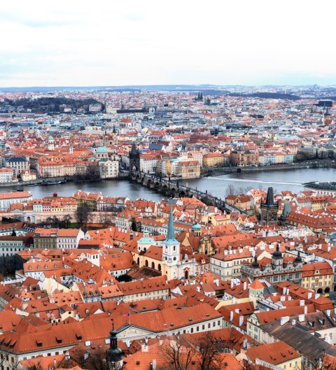 Capital Rental, Cities, Economic, Rental