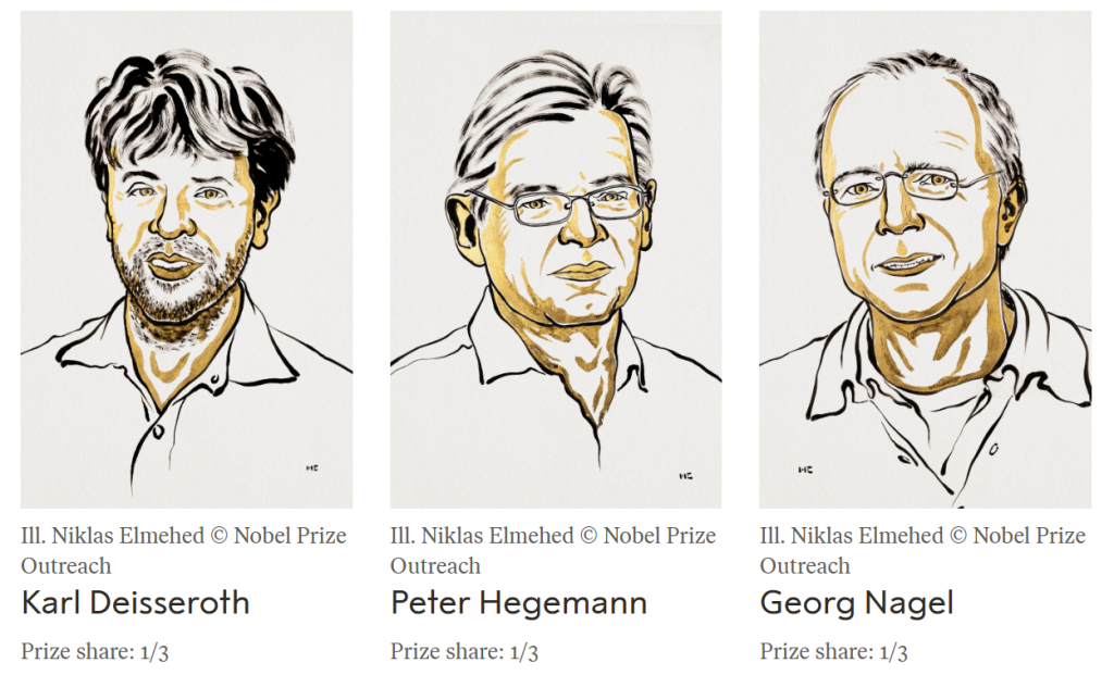 Nobel Prize, 2026 Nobel, Science, Literature, Peace